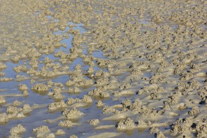 Alien structures in the mud